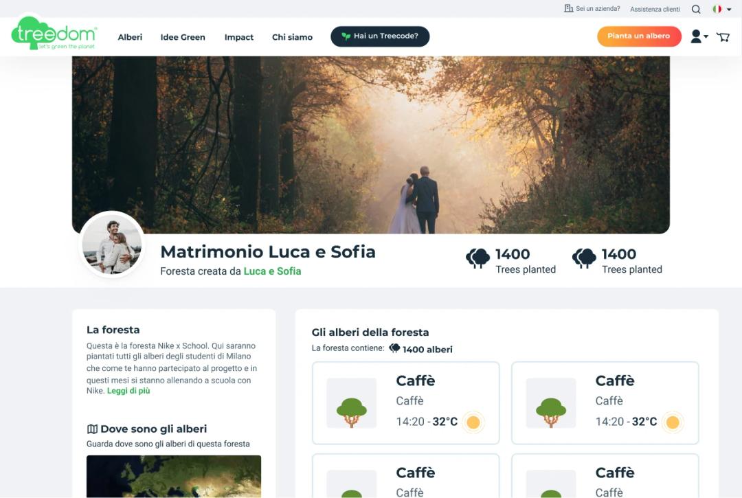 Una Foresta Treedom: raccolta di alberi piantati da più persone uniti da un'intenzione comune