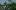 Progetto agroforestale Treedom: alberi piantati in Africa